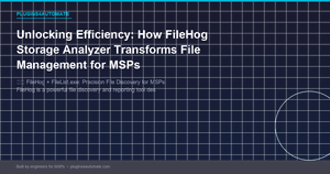 Unlocking Efficiency: How FileHog Storage Analyzer Transforms File Management for MSPs
