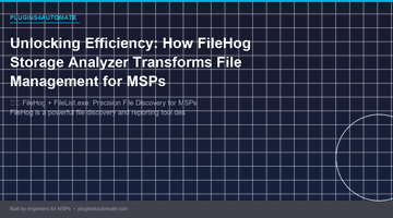 Unlocking Efficiency: How FileHog Storage Analyzer Transforms File Management for MSPs