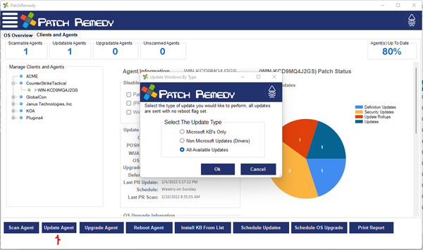 Patch Remedy Update Agent Selection Form