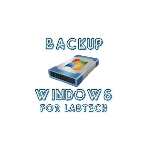 Backup Windows Agent License (per month)
